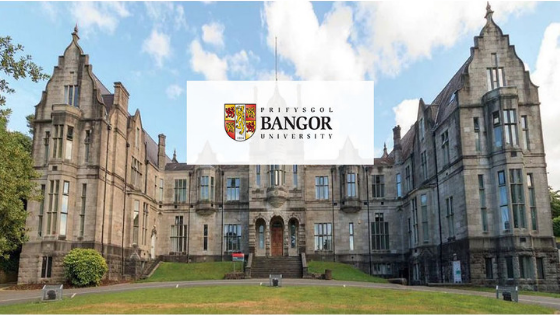 University Of Bangor