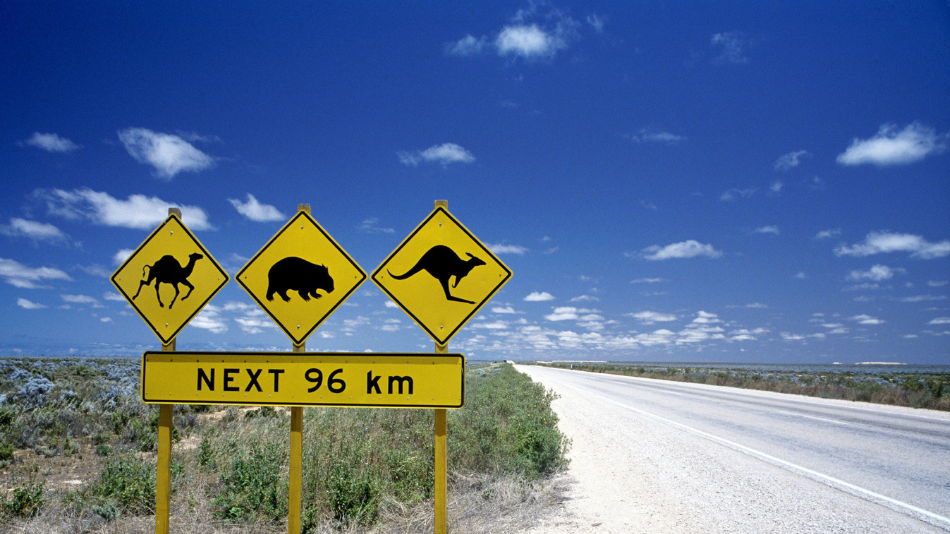 Road Signs In Australia