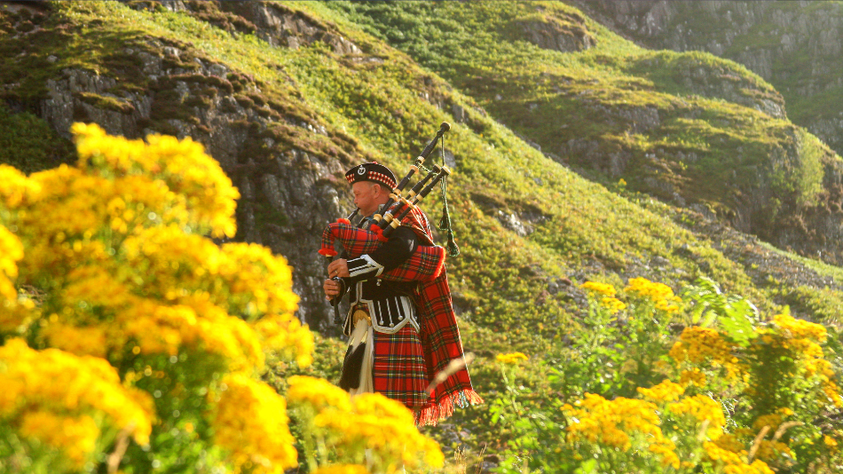 Scottish Man Walking The Field